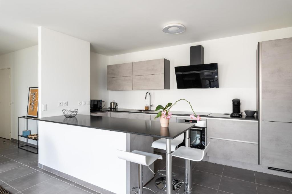 Appartement De Standing Avec Grande Terrasse Villeurbanne Eksteriør bilde